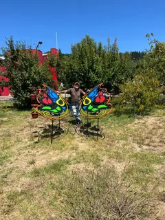 Fjärilar i trädgården, annan bild.